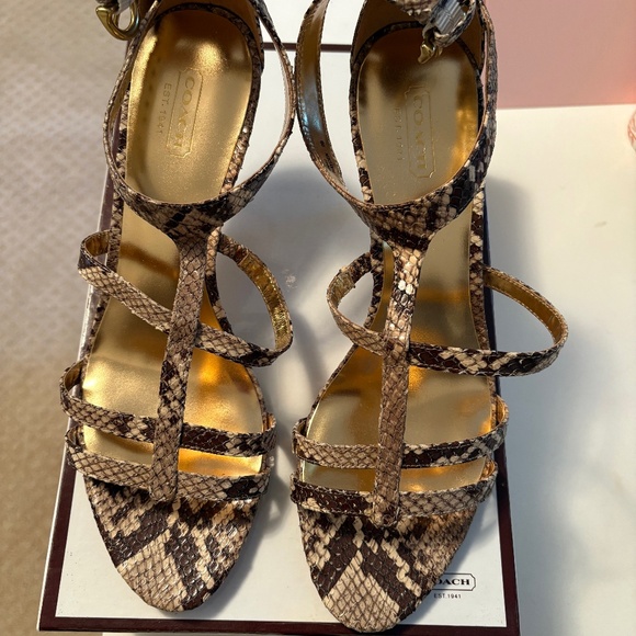 Coach Python Shoes - Picture 1 of 3